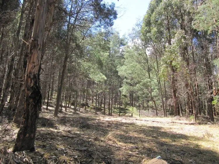 Third view of Homely land listing, Off Huon Highway, Dover TAS 7117