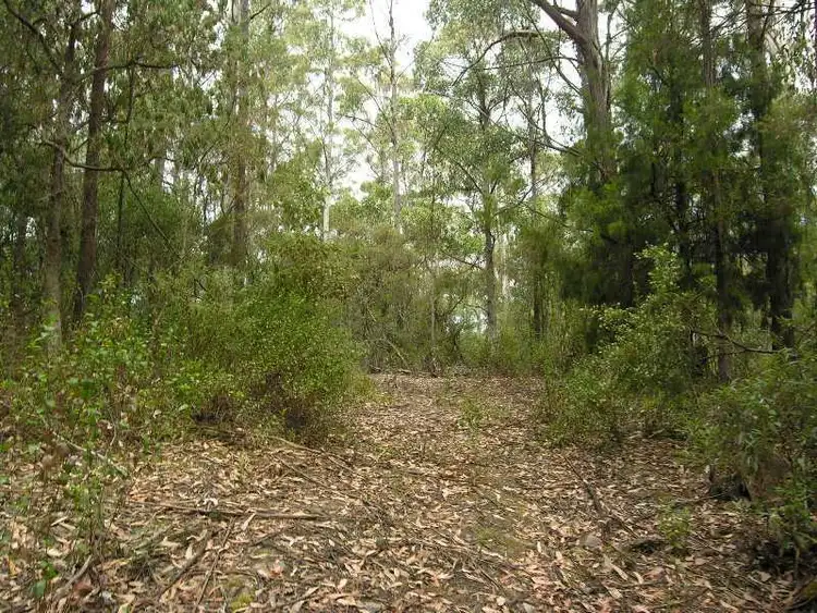 Second view of Homely land listing, Lot 1 Toby's Hill Road, Cygnet TAS 7112