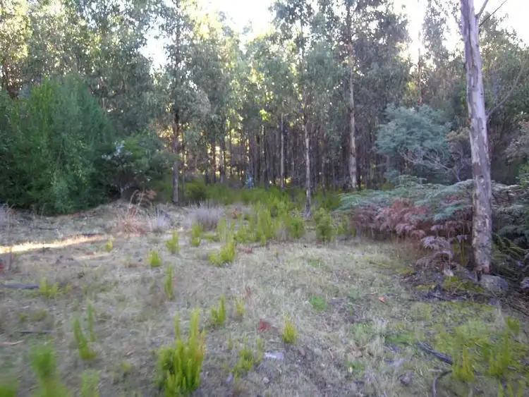 Sixth view of Homely land listing, 1 Maxfields Road, Franklin TAS 7113