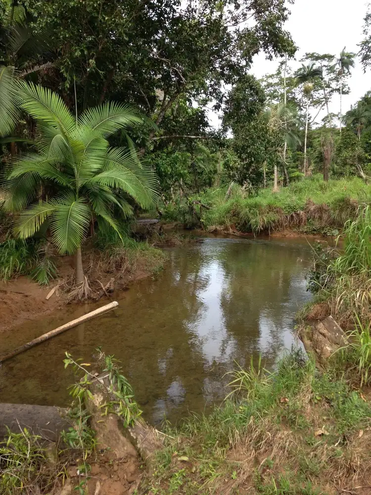 Seventh view of Homely rural property listing, Lot 43 Brahman Road, Utchee Creek QLD 4871