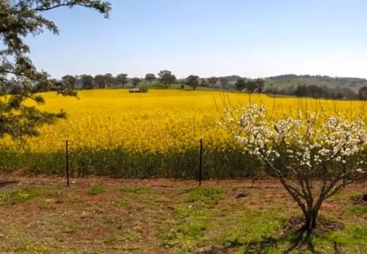 Fourth view of Homely house listing, 421 Porters Mount Road, Cowra NSW 2794
