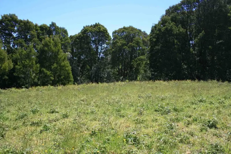 Main view of Homely land listing, Lot 9 Dehnerts Track, Beech Forest VIC 3237