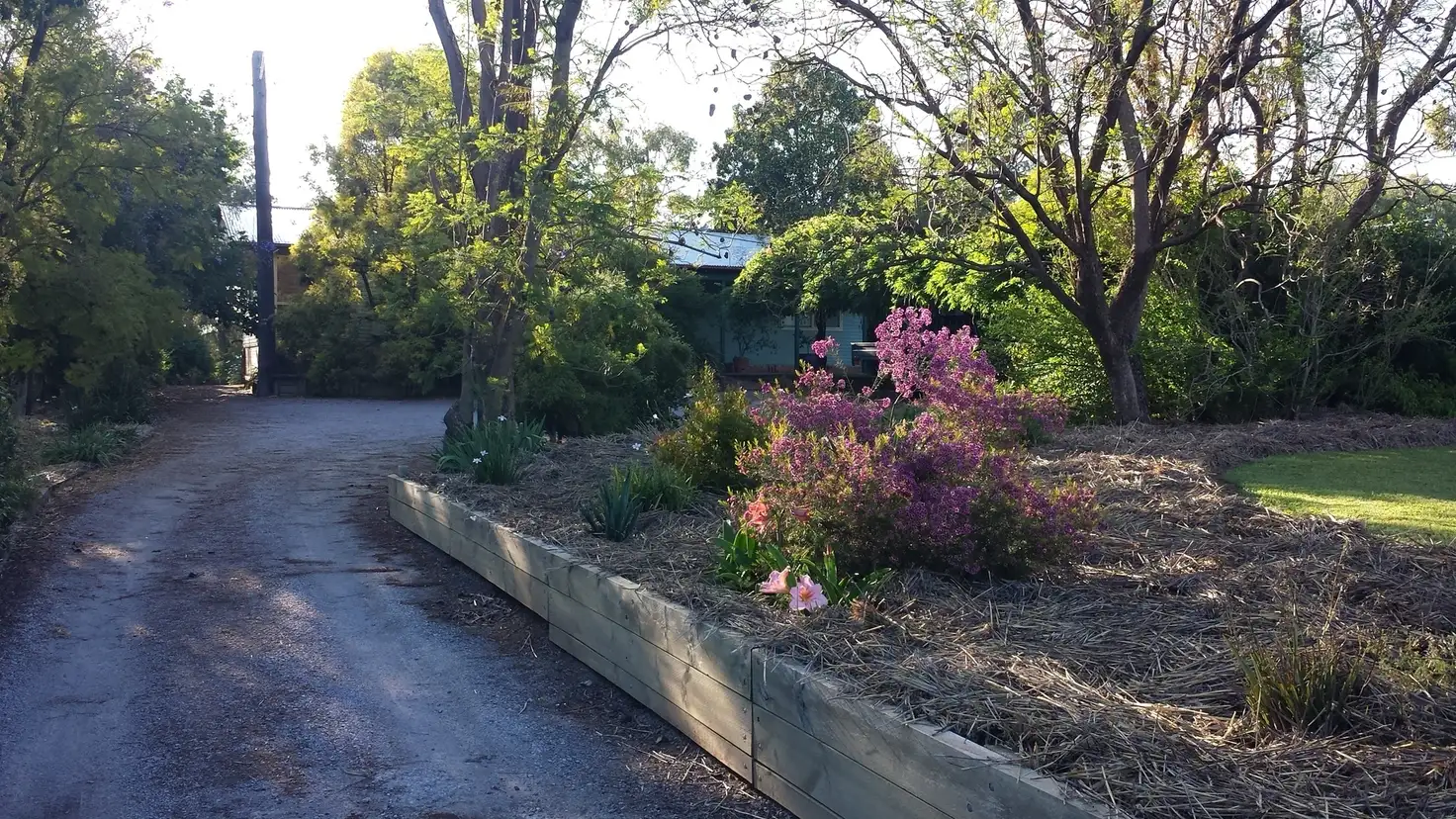 Main view of Homely house listing, 14 Darrell Road, Calala NSW 2340