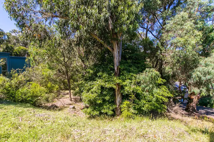 20 Richardson Boulevard, Lorne VIC 3232