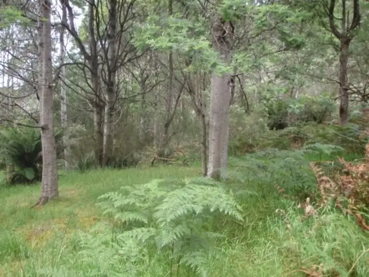 Sixth view of Homely land listing, Lot 5 Wylies Road, Cradoc TAS 7109