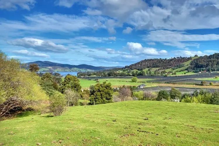 Fifth view of Homely house listing, 106 Castle Forbes Road, Castle Forbes Bay TAS 7116