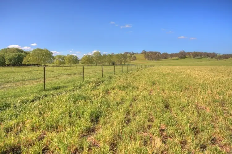 Main view of Homely rural property listing, 1264 Acres, Guyong NSW 2798