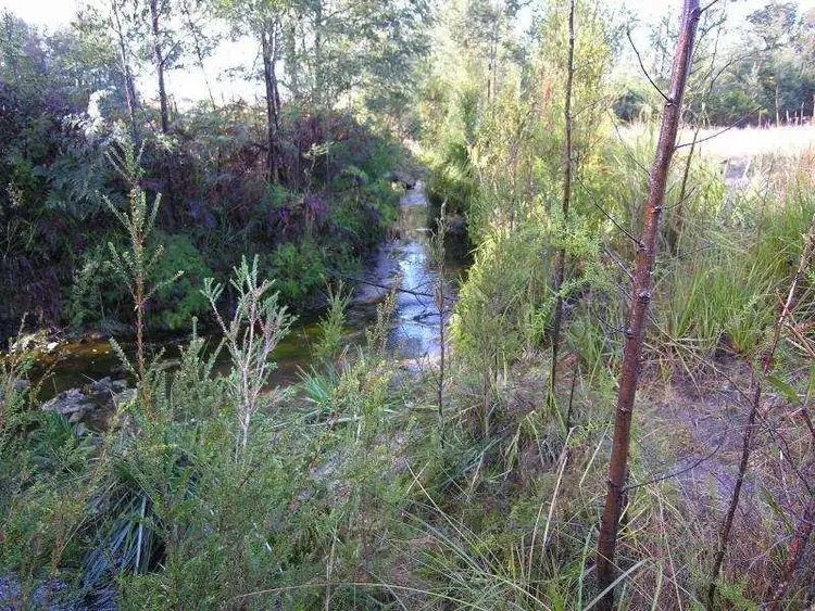 Sixth view of Homely land listing, Lot 1 Arve Road, Geeveston TAS 7116
