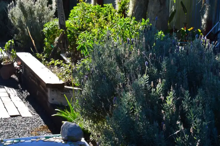 Third view of Homely house listing, 46 Anemone Street, Killarney QLD 4373