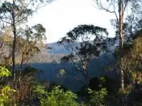 Fifth view of Homely rural property listing, 369 Devils Hole Road, Wyndham NSW 2550