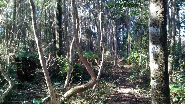 Second view of Homely land listing, Lot 0 Grining Street, Strahan TAS 7468