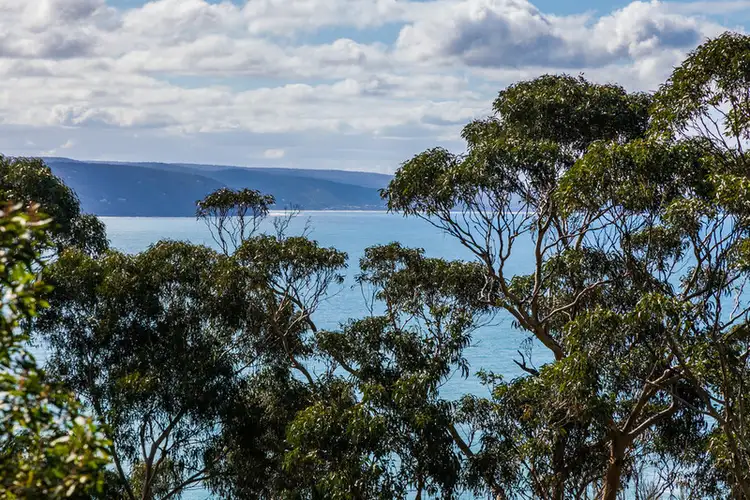 22 Francis Street, Lorne VIC 3232