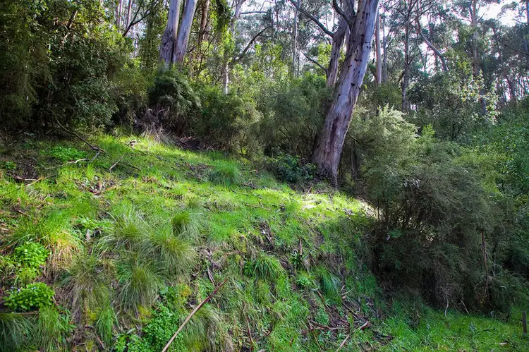 Third view of Homely land listing, 35 Karingal Drive, Wye River VIC 3221