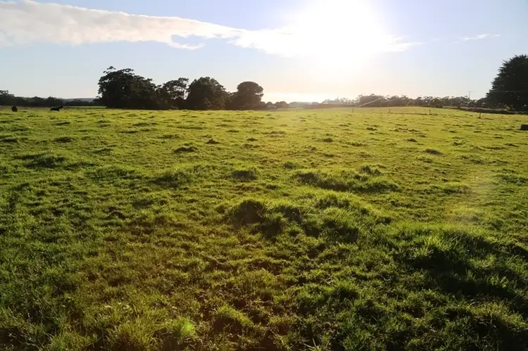 Main view of Homely land listing, 12 Mauds Road, Scotchtown TAS 7330