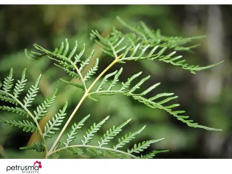 Lot 1, 440 Woodbridge Hill Road, Woodbridge TAS 7162