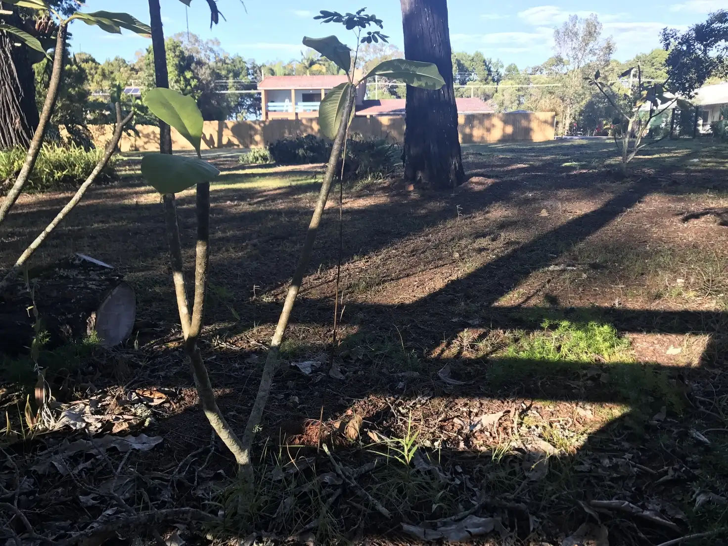 Main view of Homely land listing, 46 White Patch Esplanade, White Patch QLD 4507