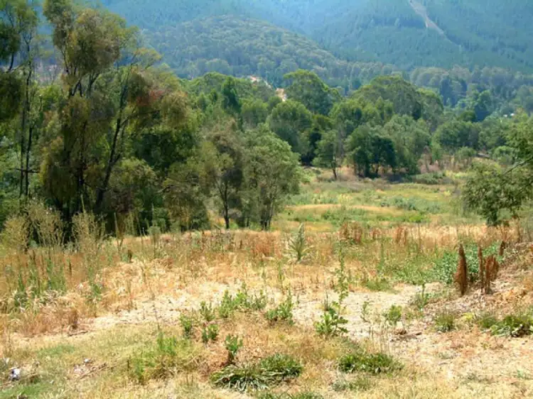 Third view of Homely land listing, Lot 80, 506 Morses Creek Road, Wandiligong VIC 3744