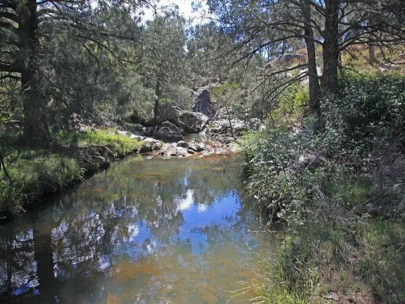 Main view of Homely rural property listing, Address available on request