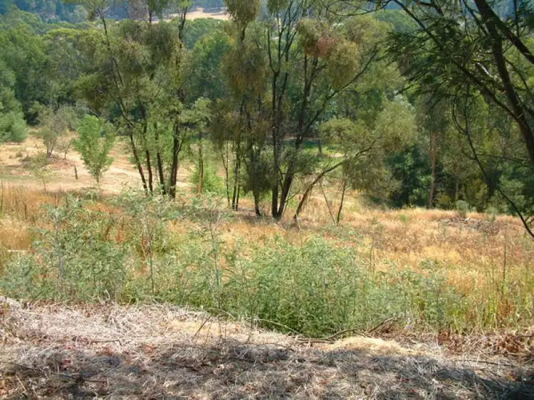 Second view of Homely land listing, Lot 80, 506 Morses Creek Road, Wandiligong VIC 3744