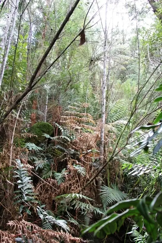 Fourth view of Homely land listing, Arve Road, Geeveston TAS 7116