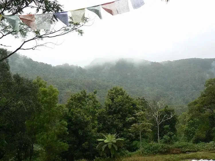 Fourth view of Homely rural property listing, 443 Upper Wilsons Creek, Wilsons Creek NSW 2482