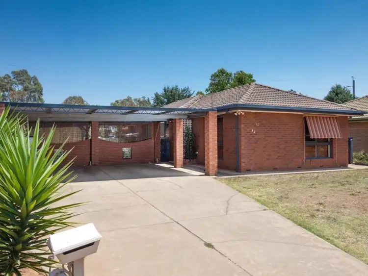 42 Adjin Street, Mount Austin NSW 2650