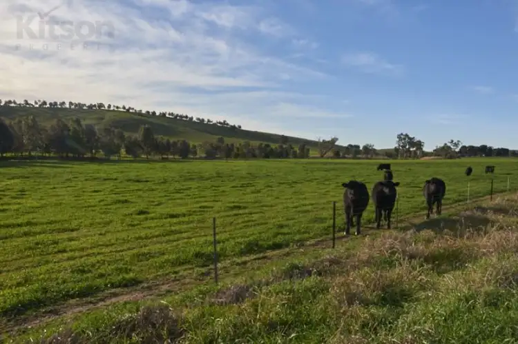 Third view of Homely land listing, Lots 1/3 Pattersons Road, Harefield NSW 2650
