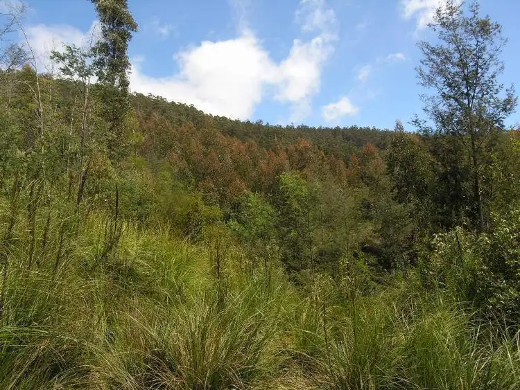 Fourth view of Homely land listing, Lot 1 Off Southwood Road, Lonnavale TAS 7109