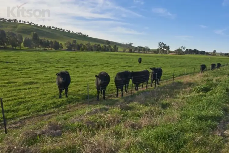 Fifth view of Homely land listing, Lots 1/3 Pattersons Road, Harefield NSW 2650