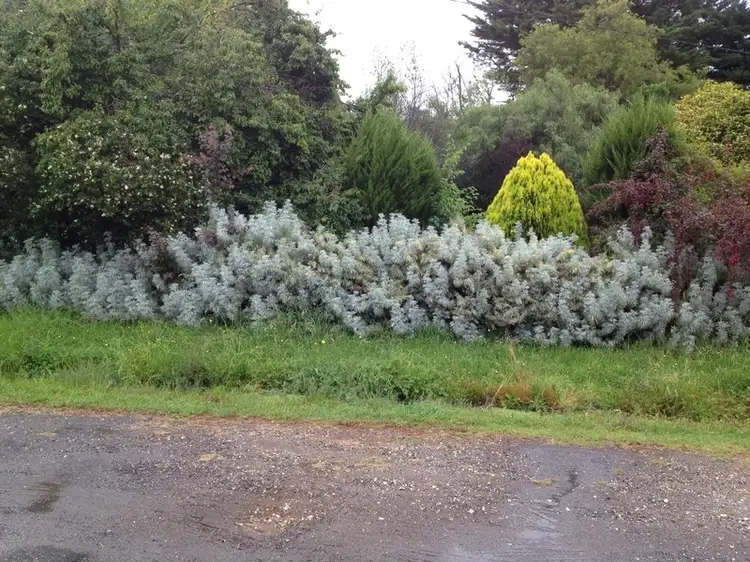 Second view of Homely house listing, 2250 Winchelsea-Deans Marsh Road, Deans Marsh VIC 3235