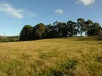 Main view of Homely land listing, 1 Huon Highway, Geeveston TAS 7116