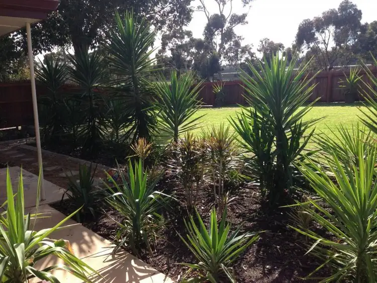 Fifth view of Homely house listing, 57 Scott Street, Koongamia WA 6056