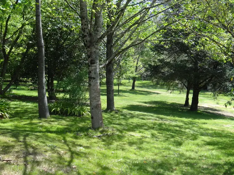Seventh view of Homely house listing, 221 Snowy Creek Road, Freeburgh VIC 3741