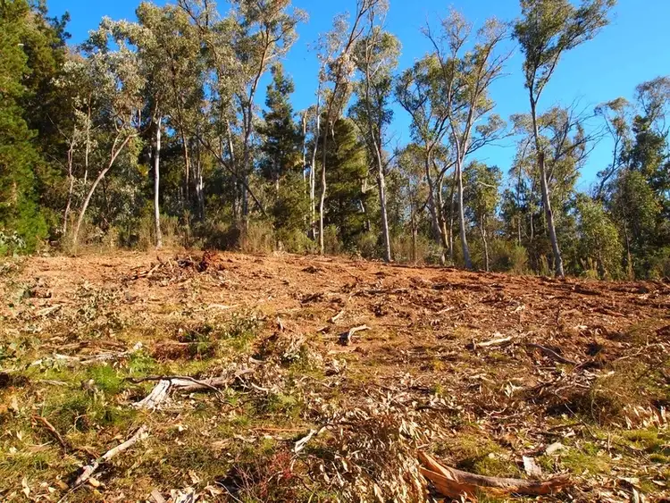 Third view of Homely land listing, Lot 1 PS524465G Walkers Lane, Bright VIC 3741