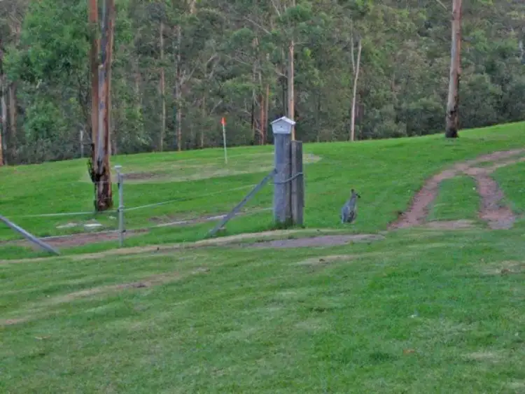 Second view of Homely rural property listing, Address available on request