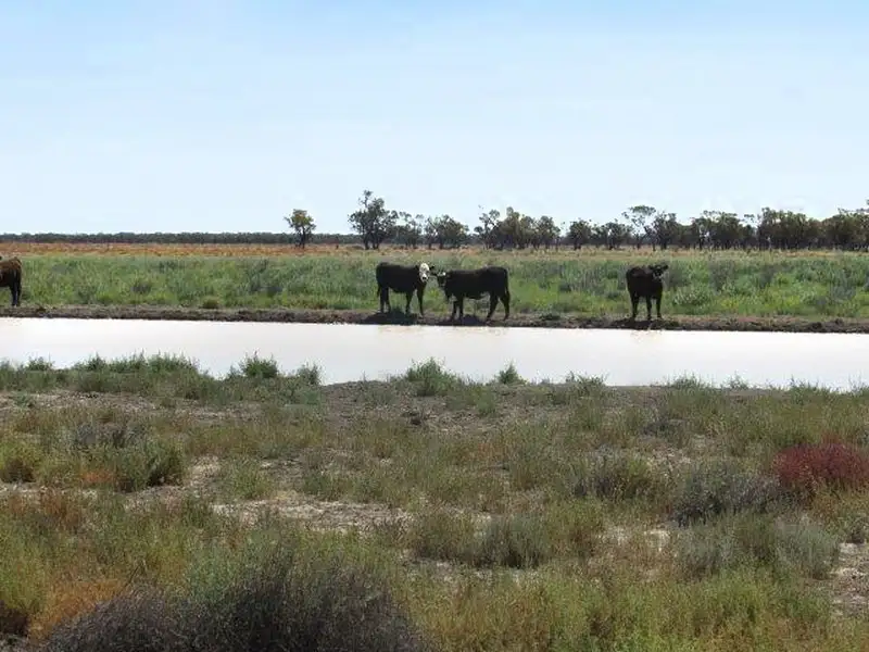 Main view of Homely rural property listing, Address available on request
