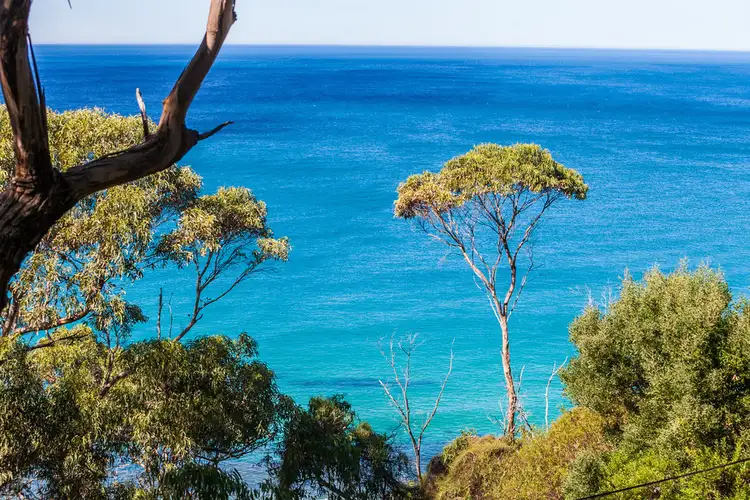 Fourth view of Homely house listing, 5 Iluka Avenue, Wye River VIC 3221