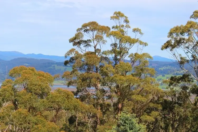 Seventh view of Homely land listing, Lot 1 Cradoc Hill Road, Cradoc TAS 7109