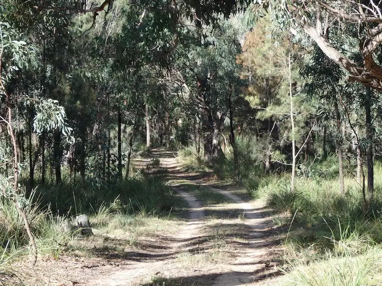 Fourth view of Homely rural property listing, 1451 Tugalong Rd, Canyonleigh NSW 2577