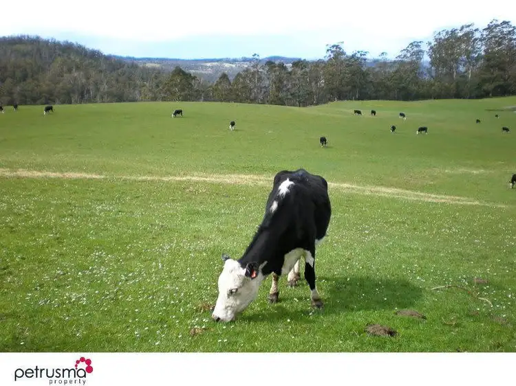 Second view of Homely house listing, 25 Hovingtons Road, Lower Longley TAS 7109