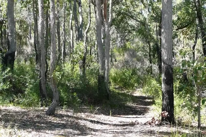 Second view of Homely land listing, 50 Anning Road, Denmark WA 6333