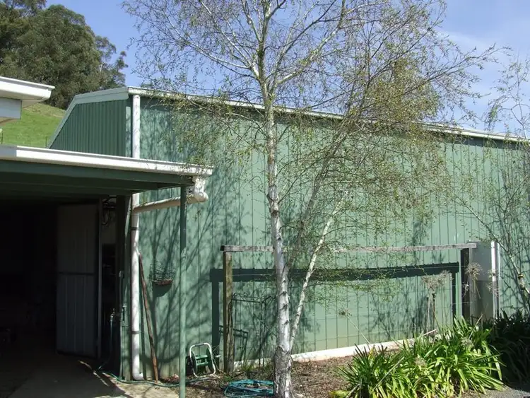 Seventh view of Homely rural property listing, 623 Buffalo River Road, Myrtleford VIC 3737