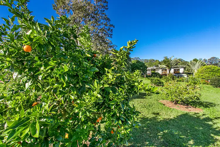 Fifth view of Homely house listing, 271 Goremans Road, Eureka NSW 2480