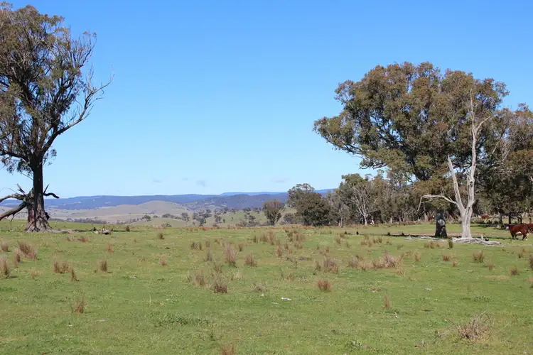 Fifth view of Homely rural property listing, Swallow Tail Flats TBA, Goulburn NSW 2580