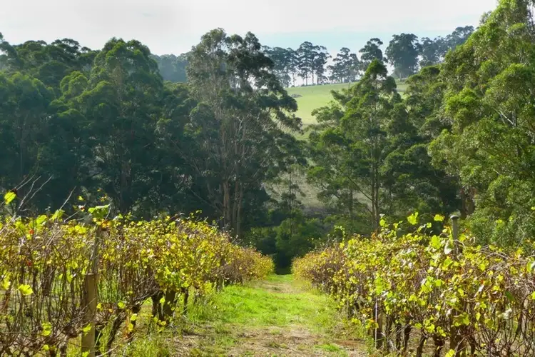 Second view of Homely house listing, 14 Roberts Road, Scotsdale WA 6333