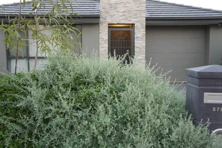 Main view of Homely house listing, 578 Morphett Road, Dover Gardens SA 5048