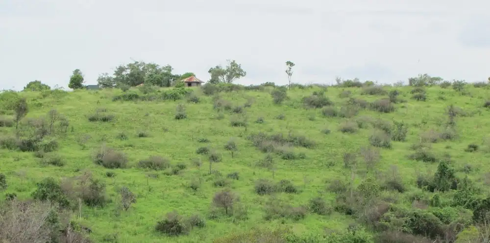Main view of Homely land listing, 103 Boneham Rd, Mount Larcom QLD 4695
