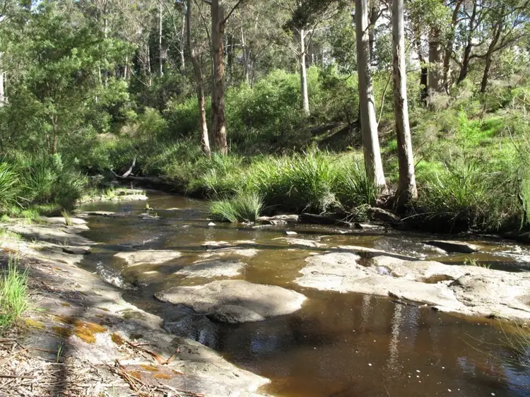 Fourth view of Homely rural property listing, 1084 Scotsdale Road, Denmark WA 6333
