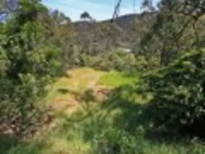 Third view of Homely land listing, 19 Mitchell Grove, Separation Creek VIC 3221