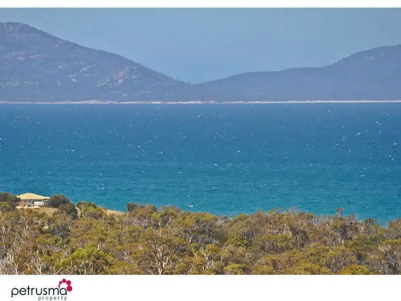 Main view of Homely house listing, 16 Cathcart Street, Swansea TAS 7190